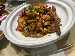-三强鸽子(中原路店)