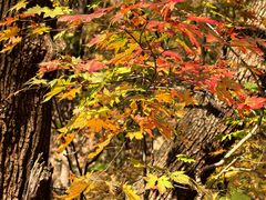 -本溪老边沟风景区