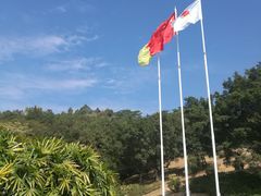-三水森林公园