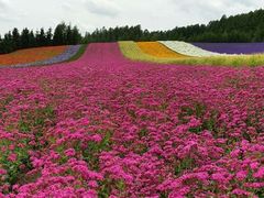 android_upload_pic-富田农场