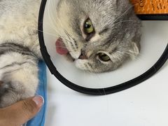 -宠颐生动物医院·心脏科·保险定点(锦阳分院)