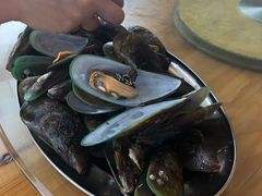 白灼青口-七鲜渔港美食餐厅(巽寮湾海景店)