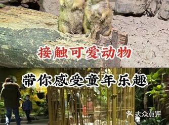 接触可爱小动物，感受童年乐趣