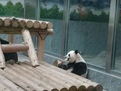 -西安秦岭野生动物园