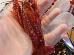 -肥肥虾庄·金牌油焖大虾(首义路店)
