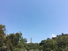 -巢湖姥山岛