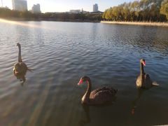 -长春世界雕塑园冰雪艺术天地