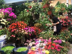 -双季花艺园艺市场(浦东店)