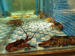 -蓝钻·国际美食海鲜自助百汇(西直门店)