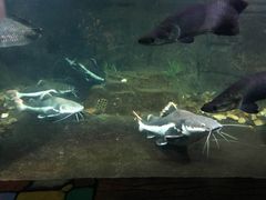 -嘉兴海底世界