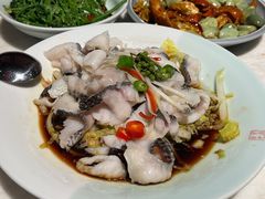 藤椒油浸黑鱼片-小吊梨汤·北京菜·烤鸭(鸟巢店)