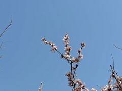 -北京凤凰岭