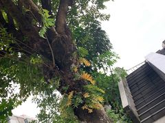 -广州神农草堂中医药博物馆