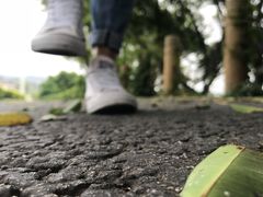 -黄金海岸环岛路