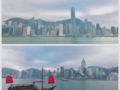 -富豪雪糕车流动点(尖沙咀店)