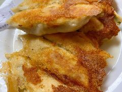 -青岛锅贴(四流中路店)