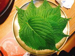 苏子叶-西塔老太太泥炉烤肉(望京一店)