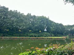 -广州长隆飞鸟乐园