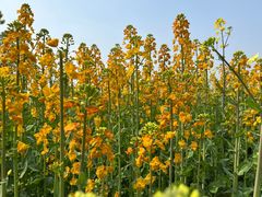 -中国天府农业博览园