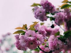 -白马涧龙池景区