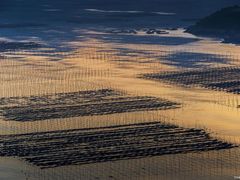 -北岐滩涂