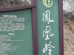 -北京凤凰岭
