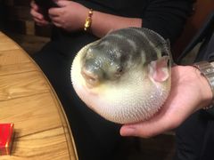 -永安鱼庄·镇江菜(丁卯店)