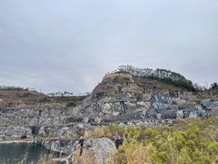 -黄埔油麻山森林公园