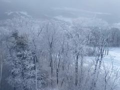 -长白山万达喜来登度假酒店