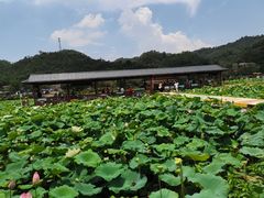 -红山村
