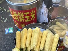 -辽宁电视塔