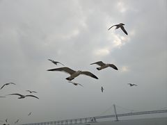 -星海广场