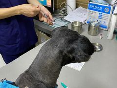 -爱侣宠医·鹦鹉专科·小型哺乳类·异宠专科(灵石路店)