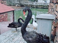 -金庭庄园酒店-停车场