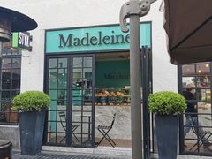 -Madeleine玛德琳(永平里店)