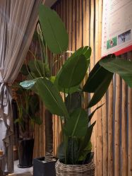 -花隐瑜伽·普拉提·红绳