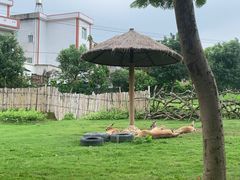 -泉州海丝野生动物世界