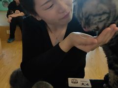 -萌喵宠狗爱心宠咖