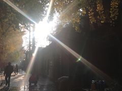 -星巴克臻选(成都宽窄巷子店)