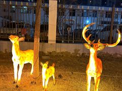 -比格比萨自助(宋家庄店)