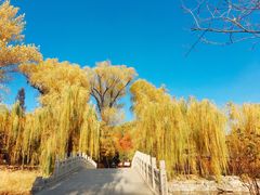 -晋祠公园