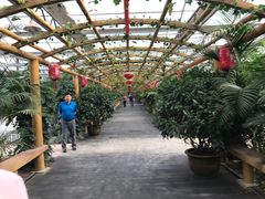 -东方华地城湿地温泉度假区