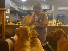 -萌喵咖啡屋(人民东路4号口M16商铺店)