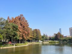 -四海公园(南山区)