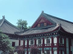 -北京大学赛克勒考古与艺术博物馆