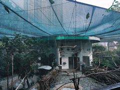 -九龙公园