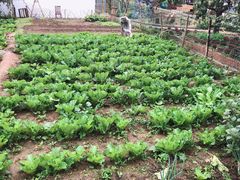 -丽泽山庄·生态怀柔菜·虹鳟鱼(红螺寺店)