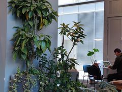 -dotcom coffee古点咖啡(致真大厦店)