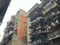 -小毛绝杀炒粉