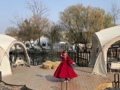 -J Create城市露营咖啡·简餐·宠物(上海动物园店)